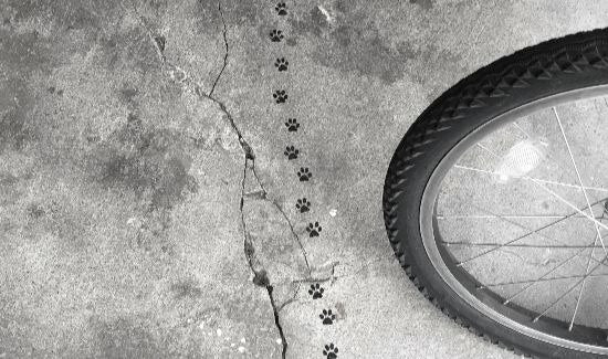 自転車通勤のおともにいかが？